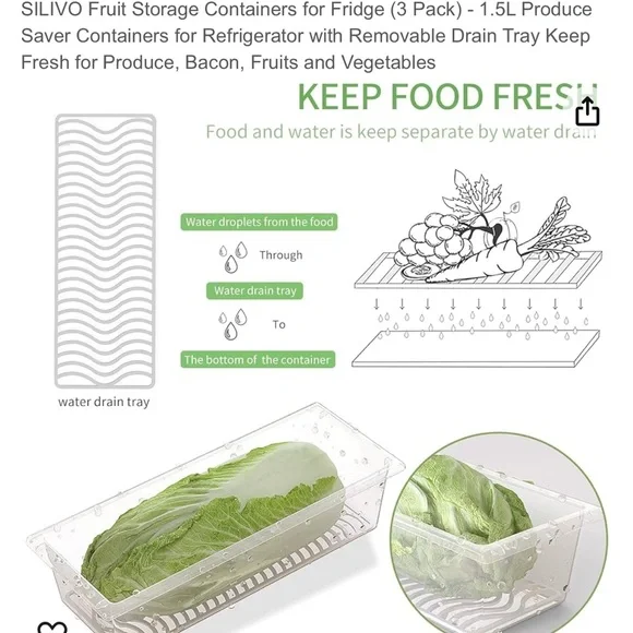 SILIVO - Picture 8 of 12